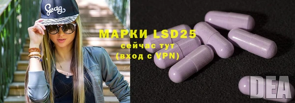 прущие грибы Магадан