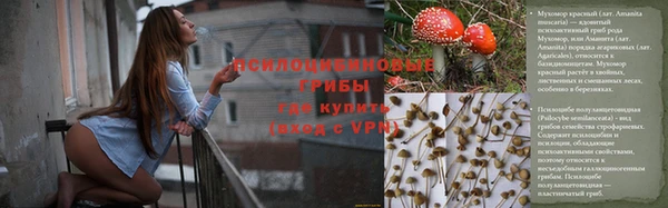 индика Магас