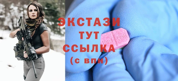 индика Магас