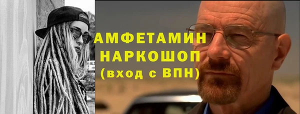 прущие грибы Магадан