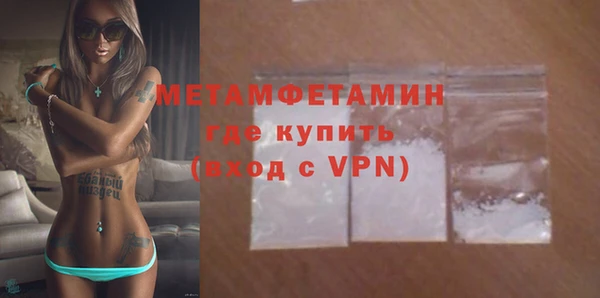 прущие грибы Магадан
