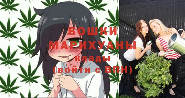 прущие грибы Магадан
