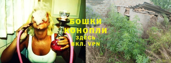 индика Магас