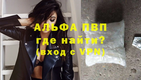 прущие грибы Магадан
