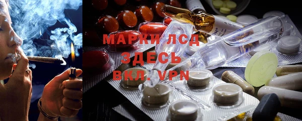 прущие грибы Магадан