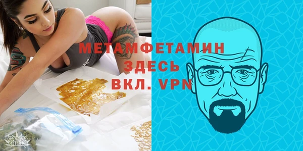 прущие грибы Магадан