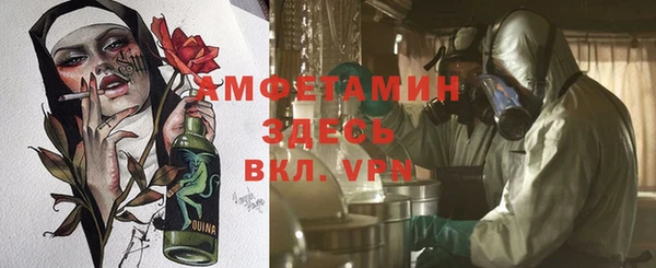 индика Магас