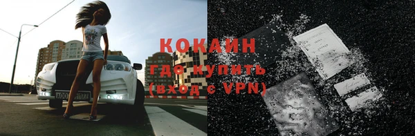 прущие грибы Магадан
