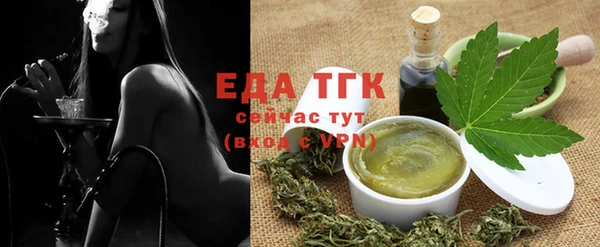 индика Магас