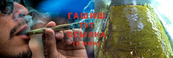 прущие грибы Магадан