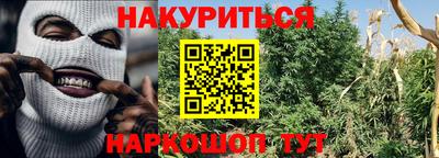 прущие крисы Кинель