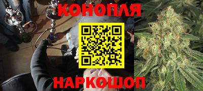 дурь Кингисепп