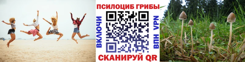 mega зеркало  Шебекино  Псилоцибиновые грибы Psilocybine cubensis 