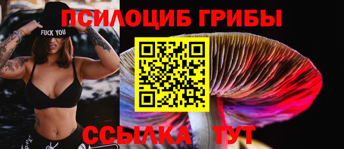 Псилоцибиновые грибы мицелий Шебекино