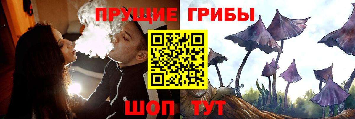 Псилоцибиновые грибы прущие грибы  Вход с VPN  Шебекино  Галлюциногенные грибы Cubensis 